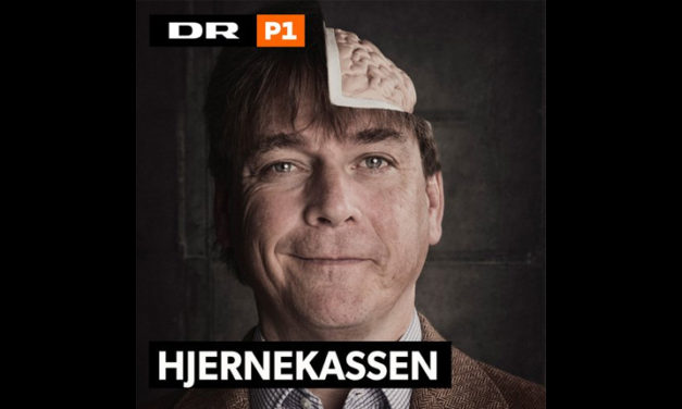 Hjernekassen